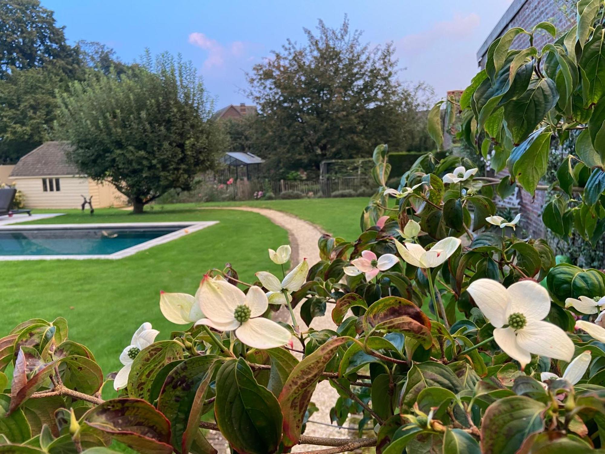 B&B Aline Florentine - Adults Only - Luxury B&B - Chambres D'Hotes - Zimmer Frei Kortenberg Εξωτερικό φωτογραφία