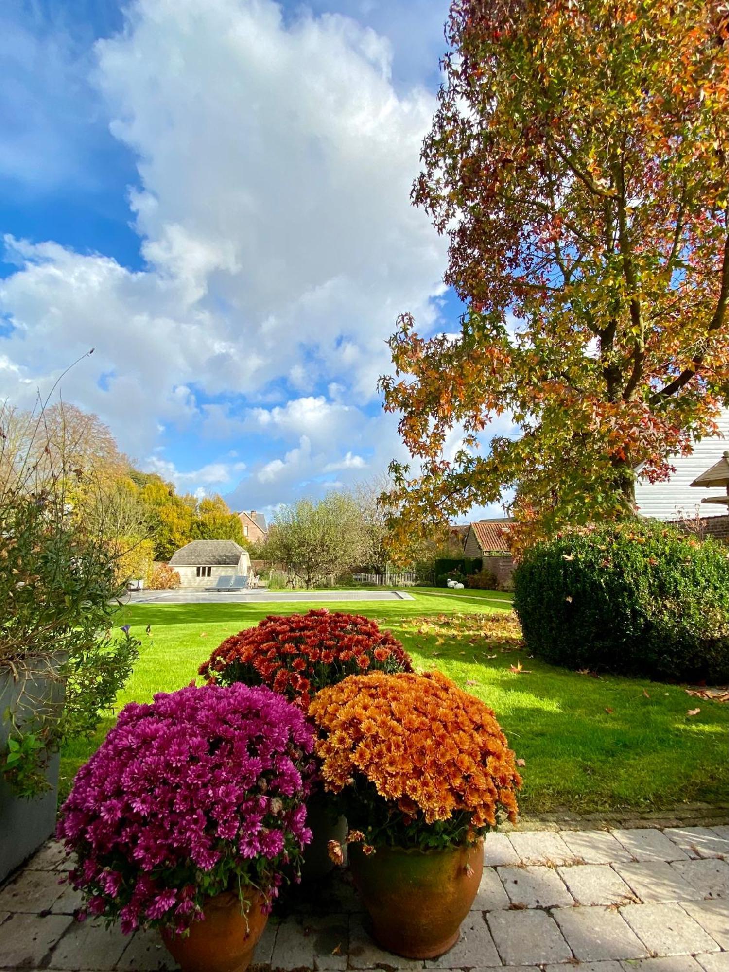 B&B Aline Florentine - Adults Only - Luxury B&B - Chambres D'Hotes - Zimmer Frei Kortenberg Εξωτερικό φωτογραφία