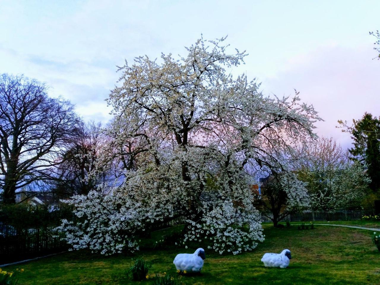 B&B Aline Florentine - Adults Only - Luxury B&B - Chambres D'Hotes - Zimmer Frei Kortenberg Εξωτερικό φωτογραφία
